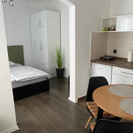 Strawberry Apartments City Center Novi Sad Exterior photo